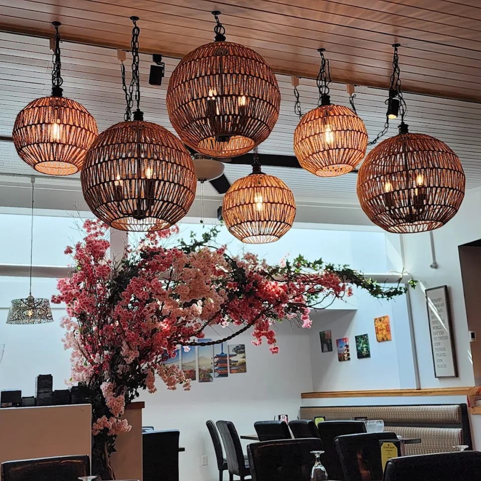 Woven pendant lights illuminate a dining area with a large pink cherry blossom tree.